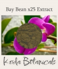 Bay Bean 25:1 Extract Powder 20g
